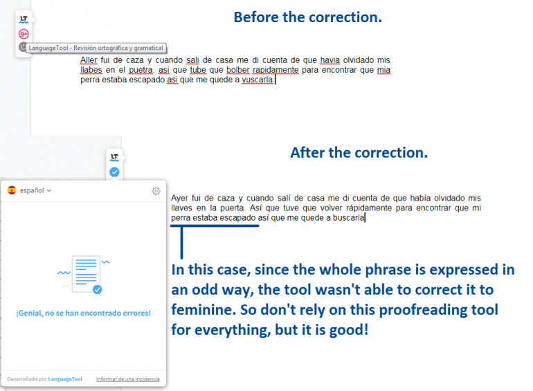 tool-for-proofreading-in-spanish-languagetool-review-lingua-linkup