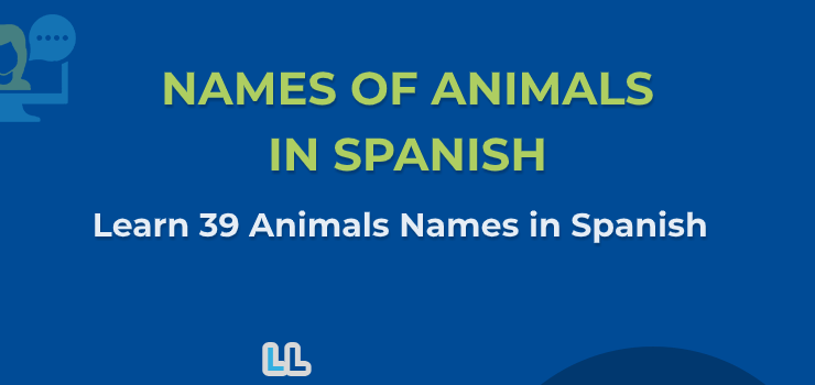 Names of Animals in Spanish