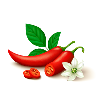 Vegetables in Spanish - chili
