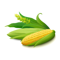 Vegetables in Spanish-corn