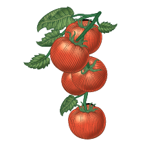 Vegetables in Spanish-tomato